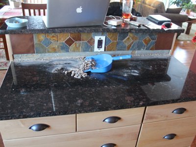 Kitchen Reno March 07 12